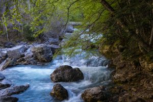 Waterfall, Torla Spain - 166