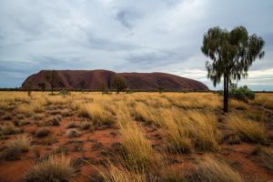 Uluru, Australia - 340