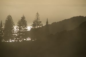 Morning Fog, Ellen Cove Albany Australia – 007
