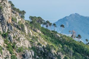 Mountain Vista, Ghisoni, Corsica - 066