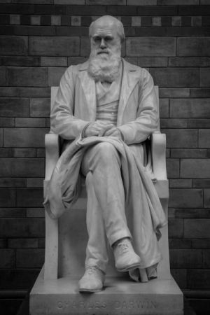 Charles Darwin, British Museum - 005