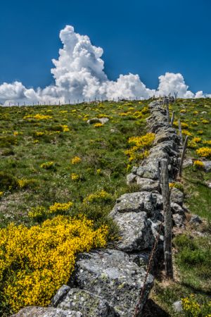 Stone Wall, Saint Enimie France – 036
