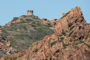 Stone Tower, Scandola, Corsica - 449