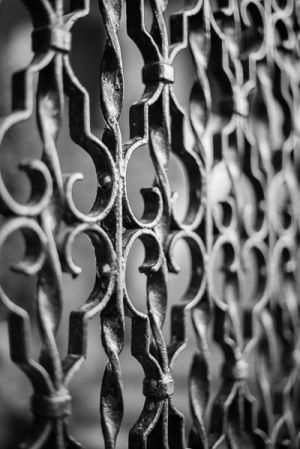 Wrought Iron Gate, Granada Spain - 051