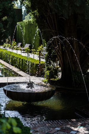 Water Garden, Alhambra, Granada Spain - 222