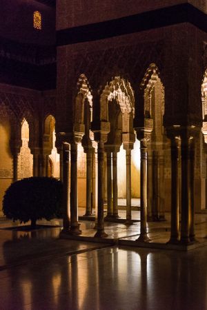 Reflections, Alhambra, Granada Spain - 009