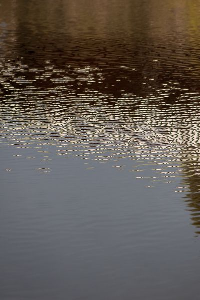 Reflections-1.jpg